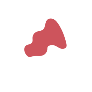 C40fd992-placeholder-1770026609