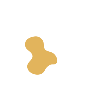 C2d65127-placeholder-1768866180