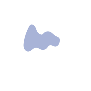 52bd67d2-placeholder-1769022538