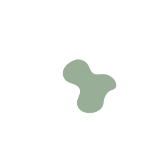 E81aa9f3-placeholder-1770009164