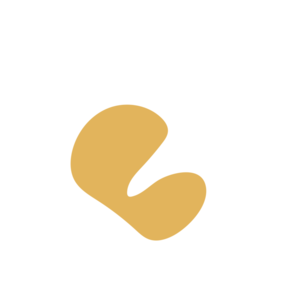 5707c2d8-placeholder-1770009021