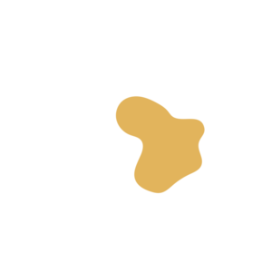 B4a7b591-placeholder-1770049351