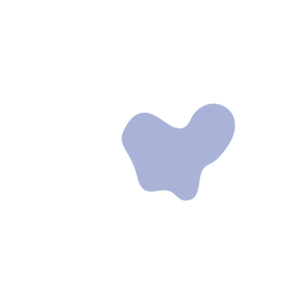 D63a8084-placeholder-1770022039