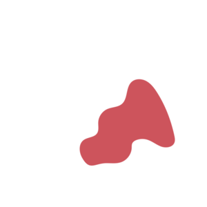 C310d964-placeholder-1768561233