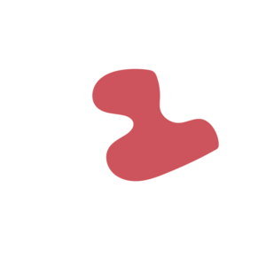 6780990d-placeholder-1770055466