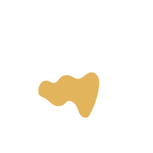 B87e840d-placeholder-1769228411