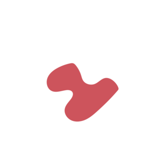 Ab7dfc23-placeholder-1770030536