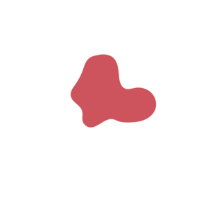 E9d5142b-placeholder-1770016520