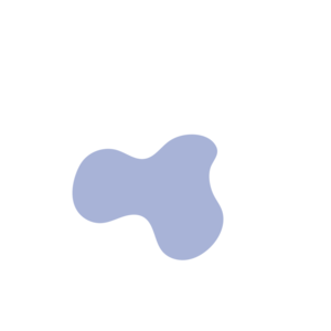 84b361cf-placeholder-1769192699