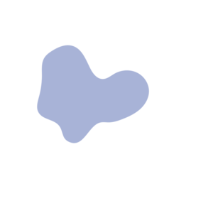 26a2a89d-placeholder-1770050801