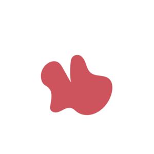 9904e1e2-placeholder-1770033661