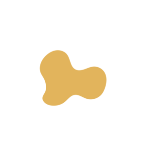 72bbe525-placeholder-1770016660