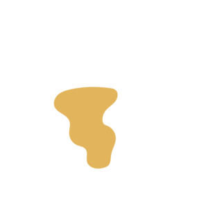 E86fd6b1-placeholder-1770029379