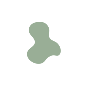 4451fa5f-placeholder-1770013810