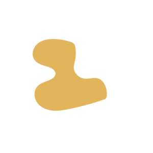 A4f0fb36-placeholder-1770016141