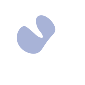 8ba41b47-placeholder-1770013301