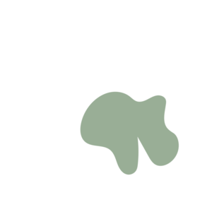 15773140-placeholder-1770056389