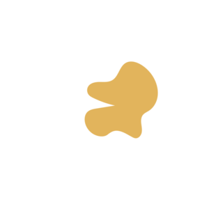 C07bfddf-placeholder-1770030681