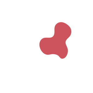 3f29e655-placeholder-1770056355