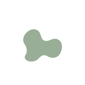 468aee02-placeholder-1770006473