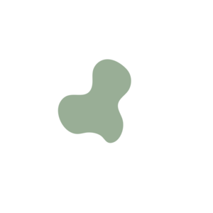 Cd18b5f8-placeholder-1770030743