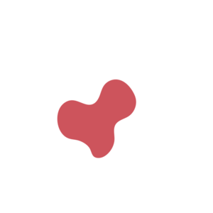 0205e062-placeholder-1770062431