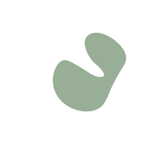 6157a973-placeholder-1770017818