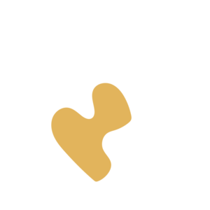 Ef6d0fe0-placeholder-1769419593