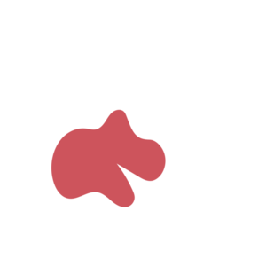 13a517b6-placeholder-1769070087