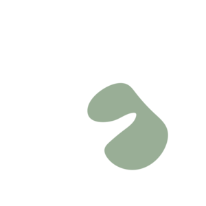 Aec4dcb7-placeholder-1770017128