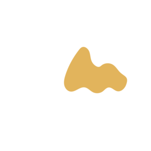 441484c0-placeholder-1769762742