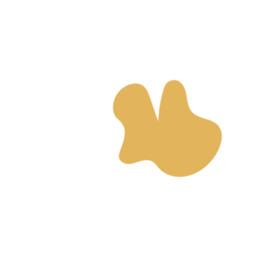 21f08cc6-placeholder-1770006475