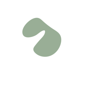 07193c44-placeholder-1770007839