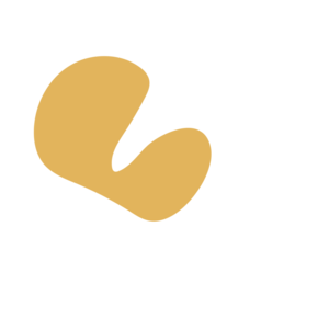 04d6c080-placeholder-1770025312