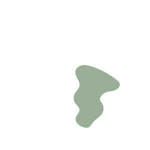 B67245cc-placeholder-1770260545