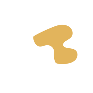 67c9851b-placeholder-1770007854