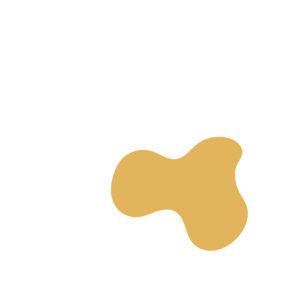 66aa6d76-placeholder-1770054676