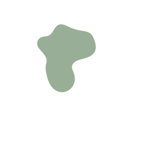 194be433-placeholder-1770021521