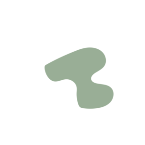 E68562dc-placeholder-1769452193