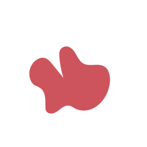 17b52596-placeholder-1770128031