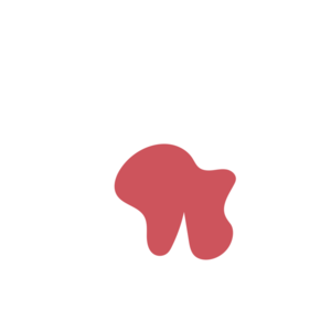 420c708c-placeholder-1770040171