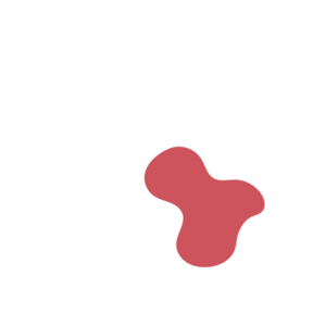 E3cf60e0-placeholder-1770048737