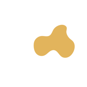 A7b5f43d-placeholder-1770030906