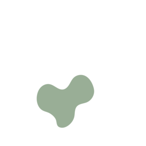 88ea6d15-placeholder-1770027156