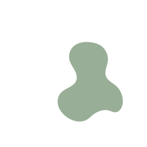 9c37cf02-placeholder-1770024155