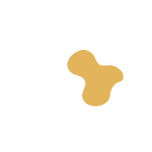 C97f9808-placeholder-1770007272