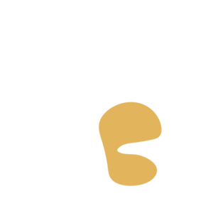 5ce55aca-placeholder-1770035027