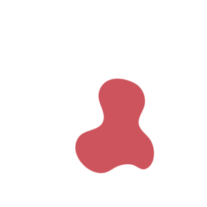 Ce4efb4a-placeholder-1770006880