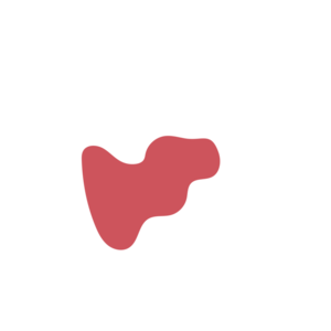 999da60e-placeholder-1770018450