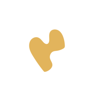 1ee42f91-placeholder-1770018941